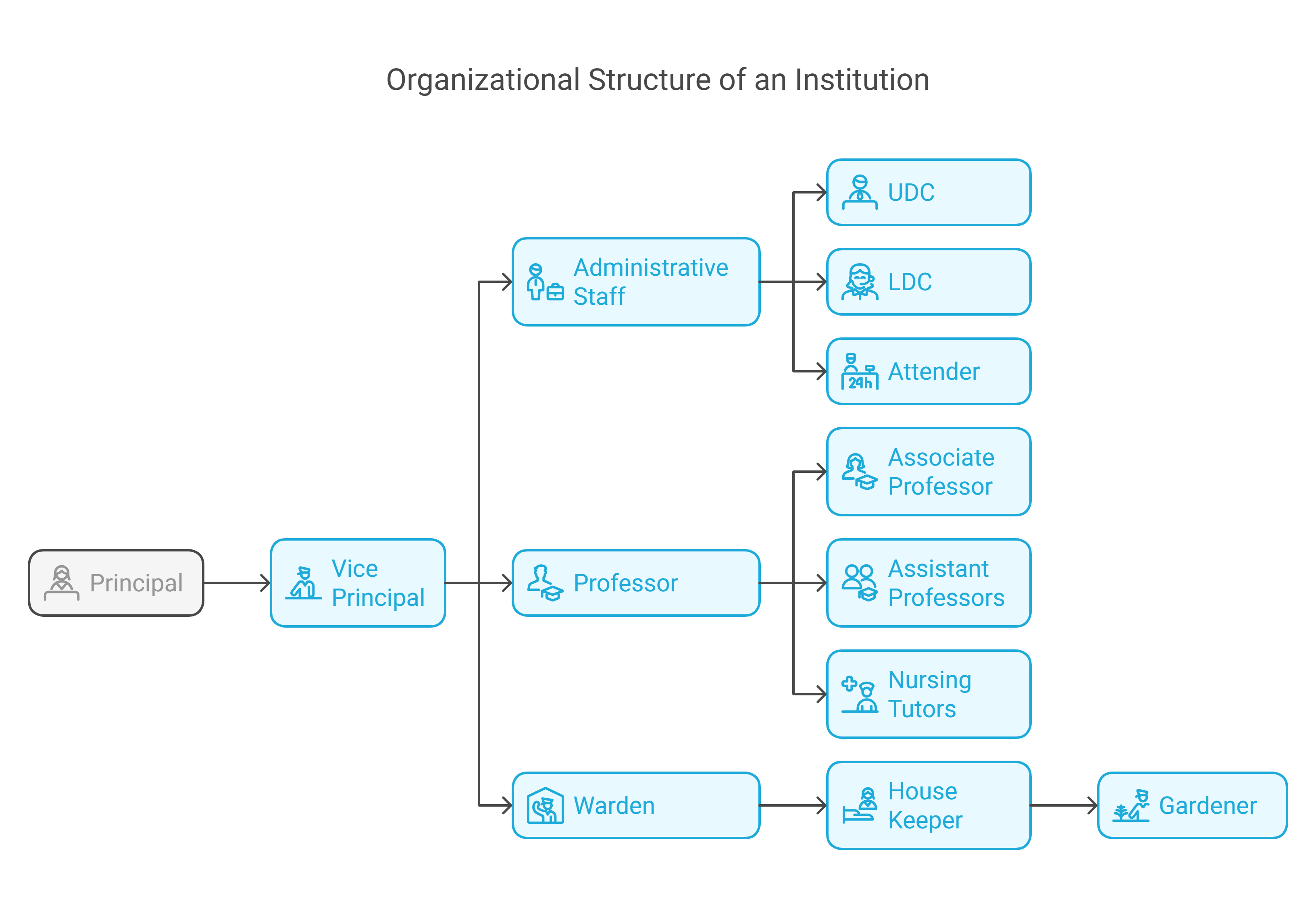 Organizational Chart